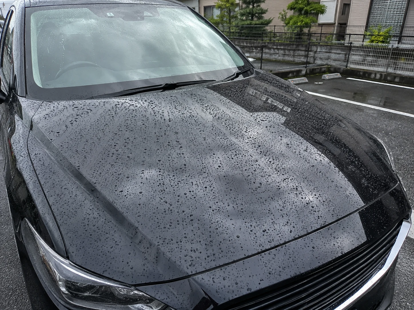 青空駐車の車のボンネットに雨粒が乗っている様子｜メカピック